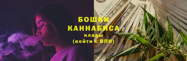 прущая мука Инта