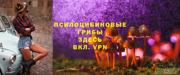 дурь Алексеевка