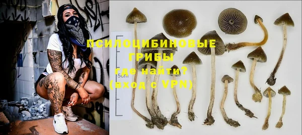 дурь Алексеевка